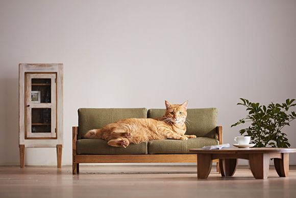 ネコ家具で 愛猫にもおしゃれな部屋作り ニュース Interior Madamefigaro Jp フィガロジャポン
