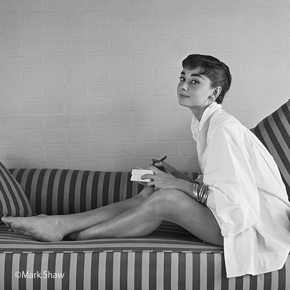 20170821_audrey_01.jpg