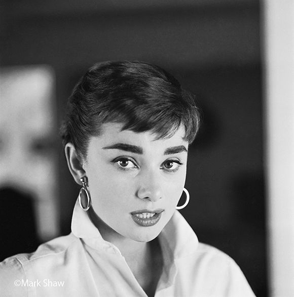 20170821_audrey_02.jpg
