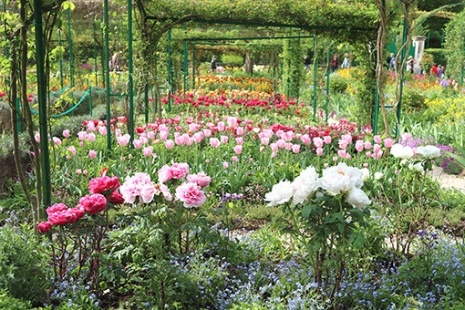 ジヴェルニー クロード モネの庭に開花するジャポニスム 特集 Paris Madamefigaro Jp フィガロジャポン