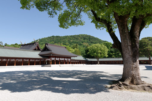 光を集める奈良の橿原神宮が、進むべき道を明るく照らす。｜Lifestyle