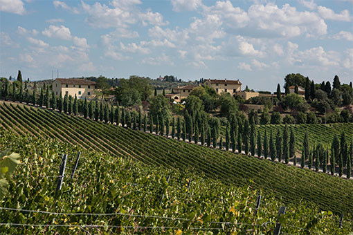 ダ・ヴィンチの村で生まれた、 トスカーナが誇る上質のワイン。