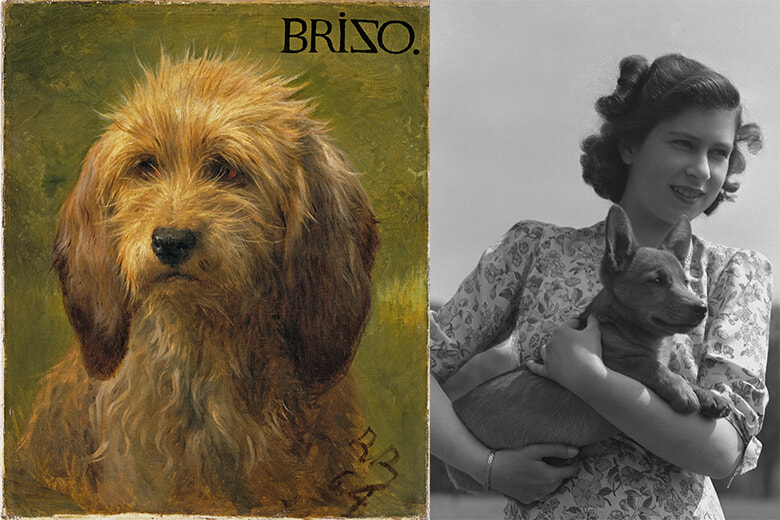 英国で犬の肖像画展＆女王とコーギー展が開催へ。｜Culture
