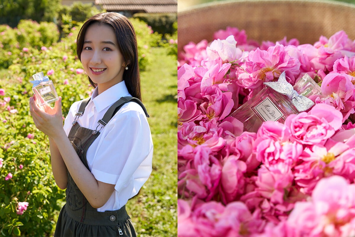 ミス ディオールのバラと出会いに！ Cocomiの南フランスへの旅