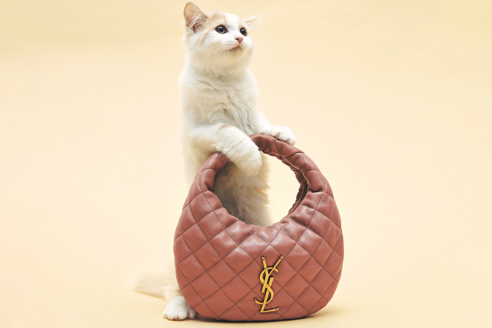 サンローラン パイソン柄 ブロガーバッグ SAINT LAURENT/サンローラン_