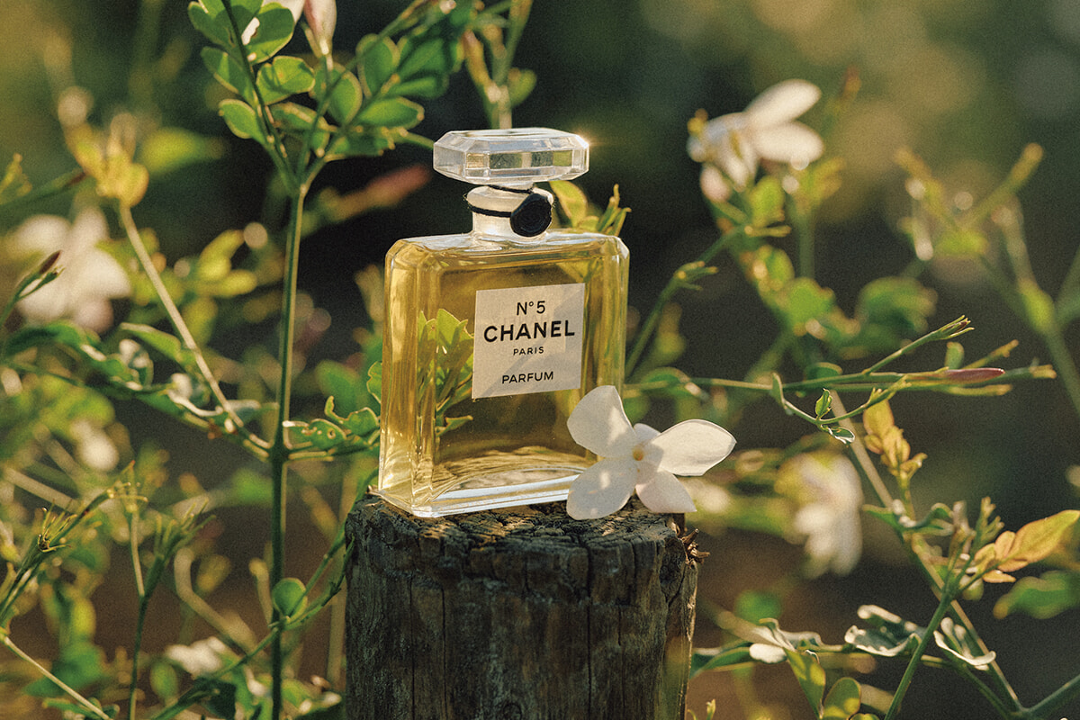 出口夏希とJURIN(XG)とともに、シャネル N°5が生まれる南仏グラースの