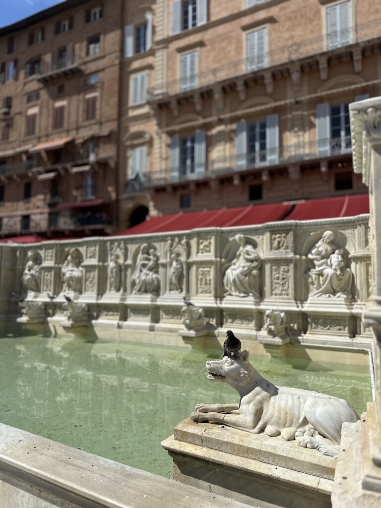 13.5_siena.jpg