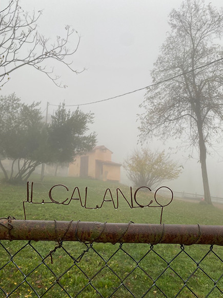 201127_1.calanco.jpg