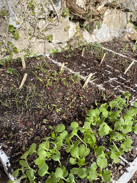 210427_15_compost_terriccio.jpg