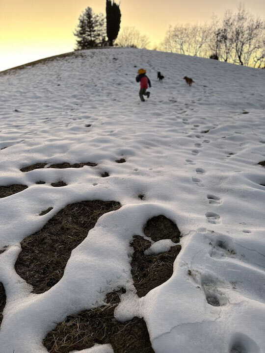 250106-Italia-11_neve-slitta.jpg