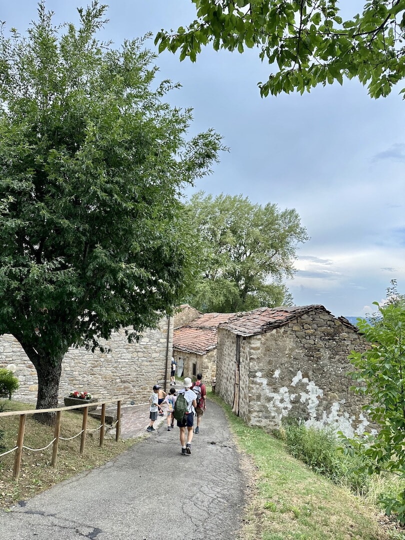 25_mangiro3.jpg