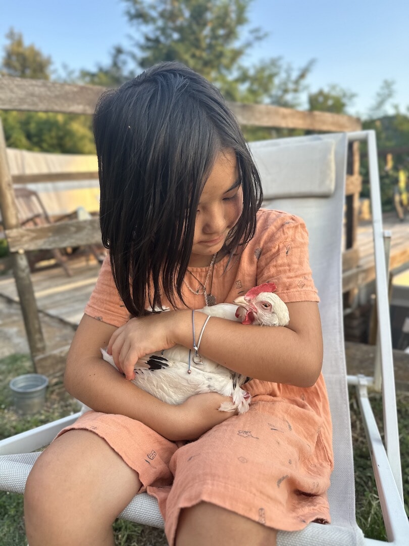 2_gallina.jpg