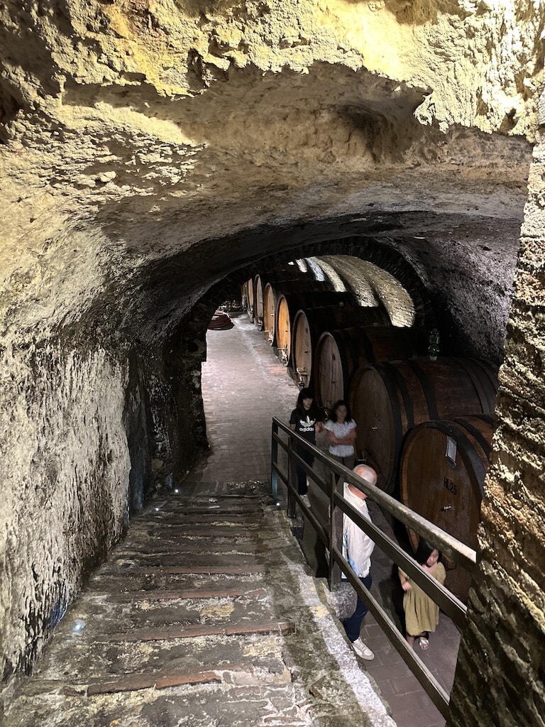 45_montep5.jpg