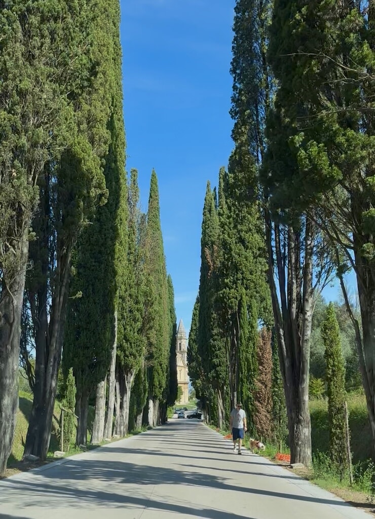 47_montep7.jpg