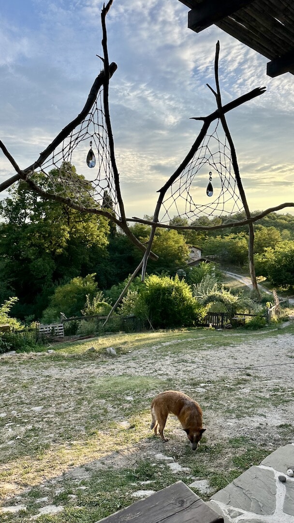 63_suncatcher2.jpg