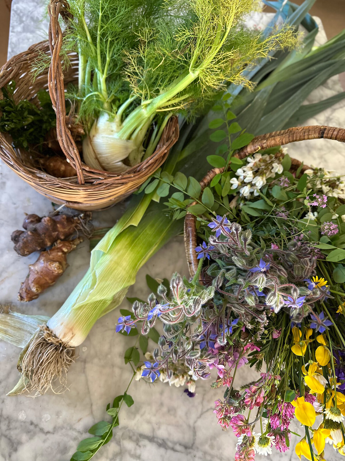 78_fiori-del-campo.jpg