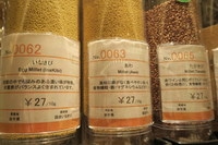 IMG_8291.JPG