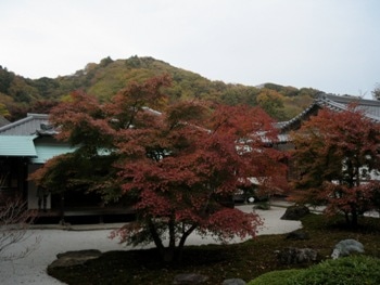 長寿禅寺.JPG