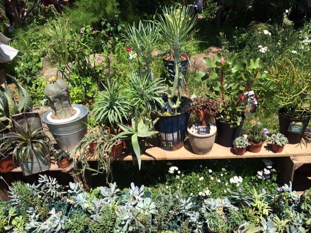 日本の骨董市で、可愛いもの探し。｜Editor's Blog｜Blog｜madame