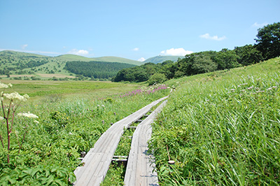 霧ヶ峰2a.jpg