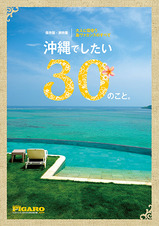 okinawa_201409-thumb-160x226-139701.jpg
