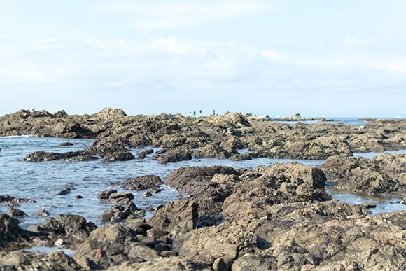 180801-iso04.jpg
