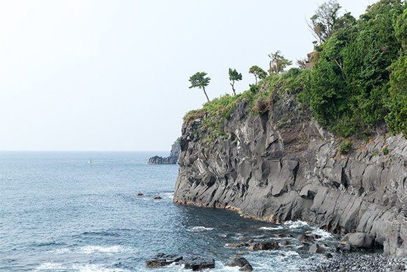 180816-izu01.jpg