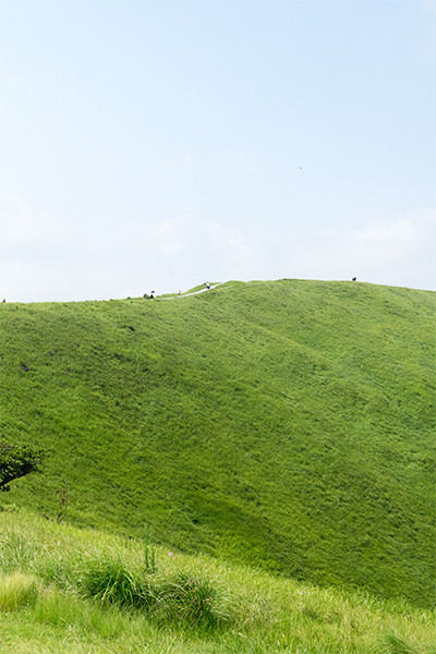 180816-izu15.jpg