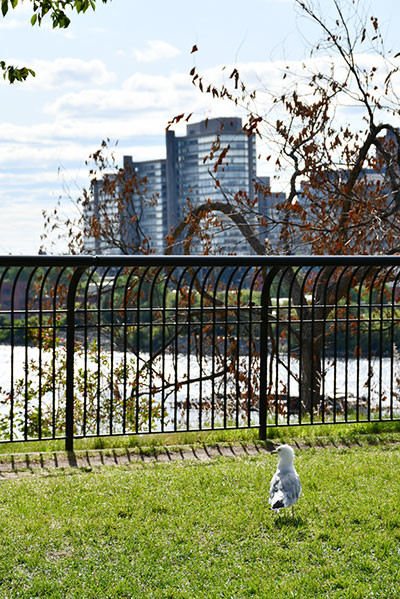 190901_blog_ottawa_10.jpg