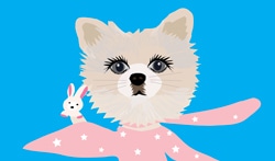 250_147mimi.jpg