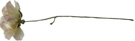 146.jpg