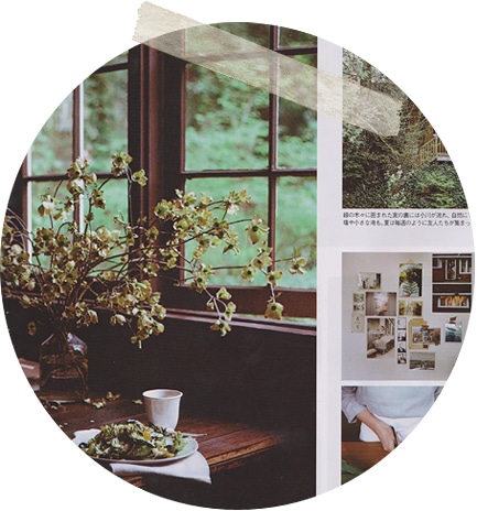 243.jpgのサムネイル画像