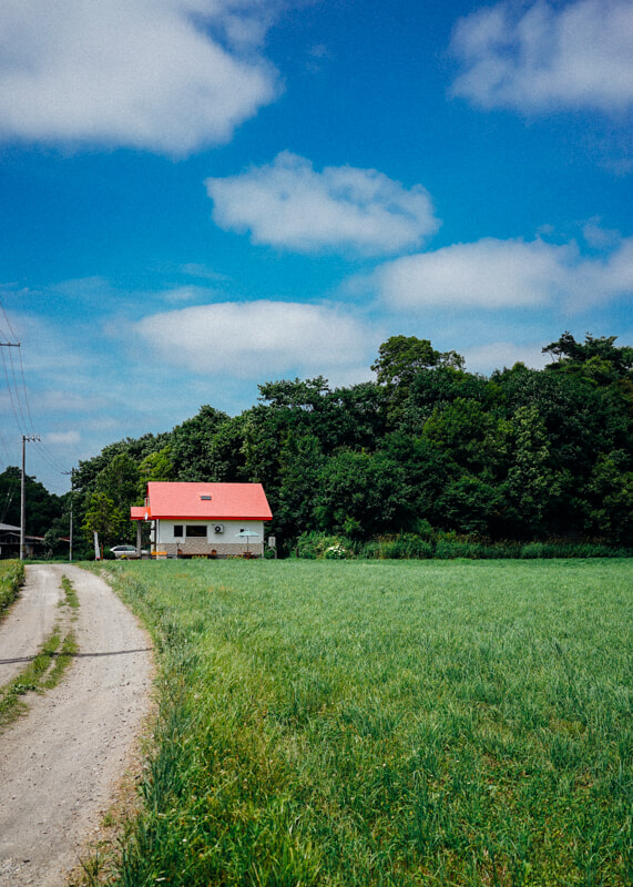 DSC00384-2.jpg