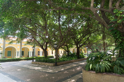 20150809-DSC09152.jpg