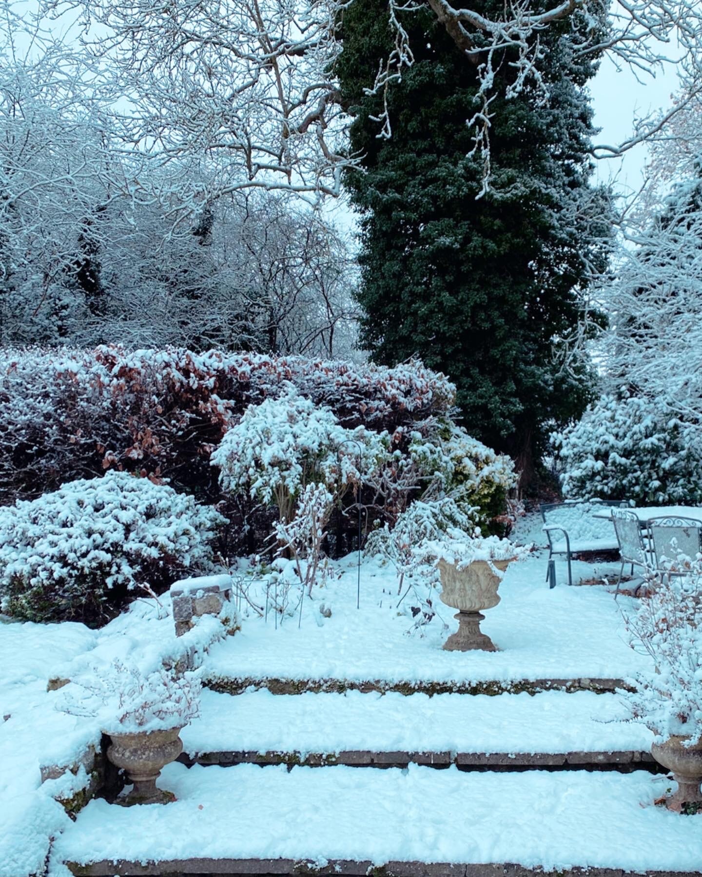 初雪 初雪！｜Butterdrop Diary 『ロンドン郊外のカントリーライフ』｜Blog｜madame FIGARO.jp（フィガロジャポン）