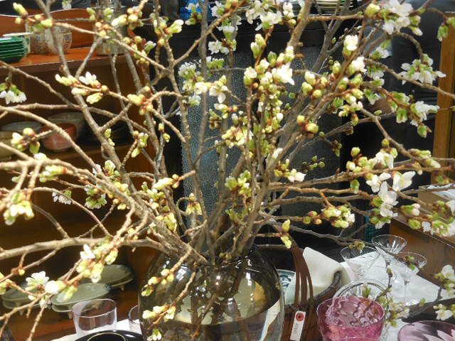 DSCN6139.JPG