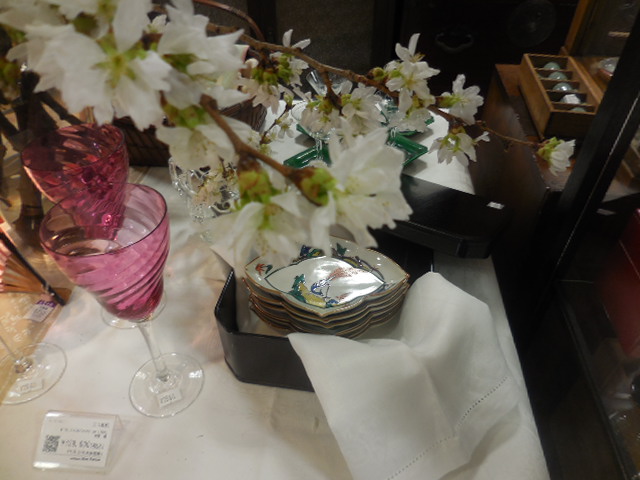 DSCN6156.JPG