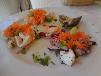 DSCN1181.JPG
