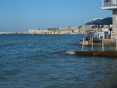 DSCN1212.JPG