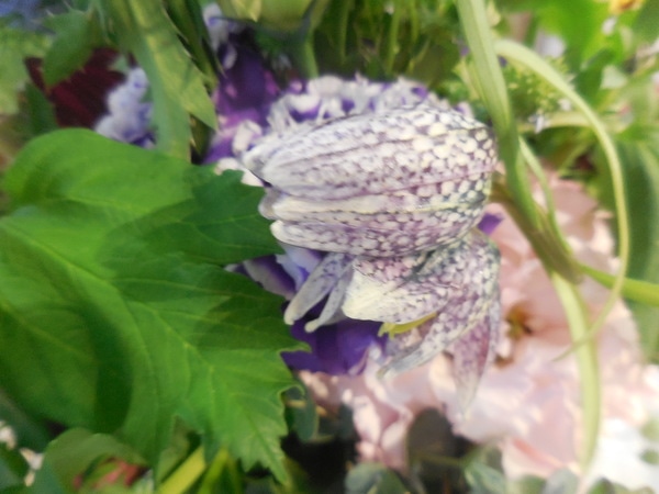 DSCN6392.JPG