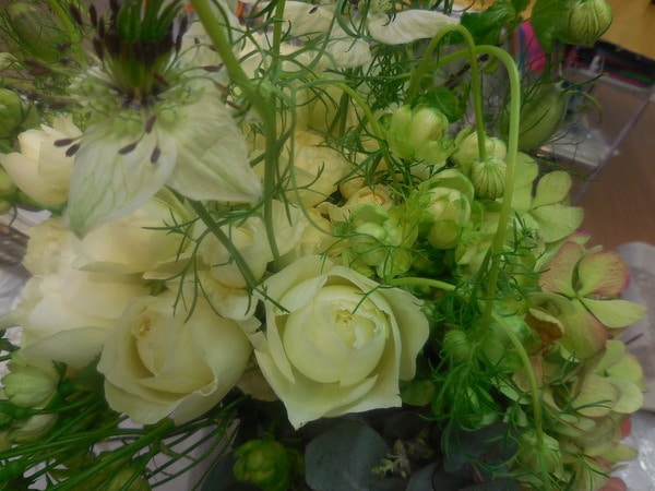 DSCN6439.JPG