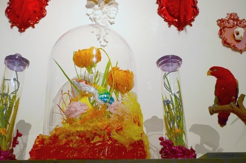 13_kawa20101206.JPG