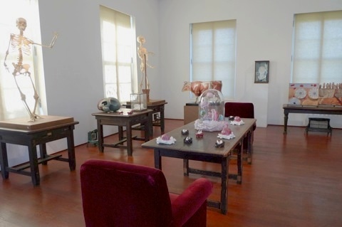 3_kawa20101206.jpg