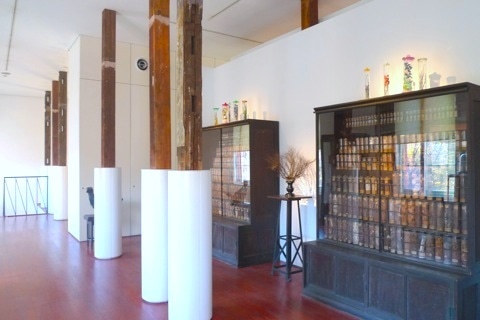 5_kawa20101206.jpg