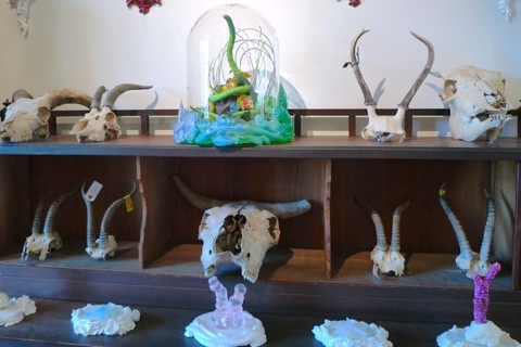 8_kawa20101206.jpg