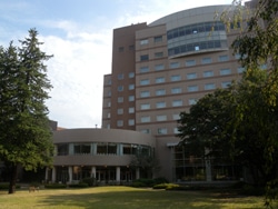 sekine111125_f.jpg