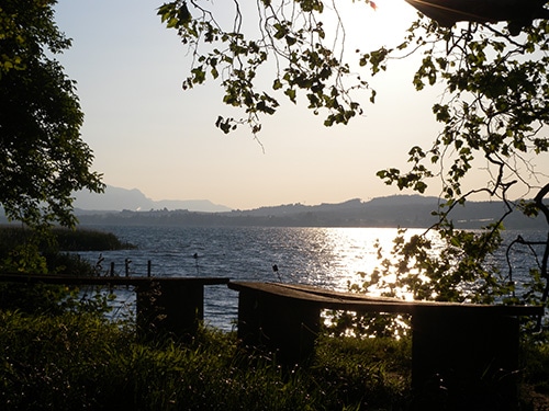 10-sekine-140626-DSCN2835.jpg