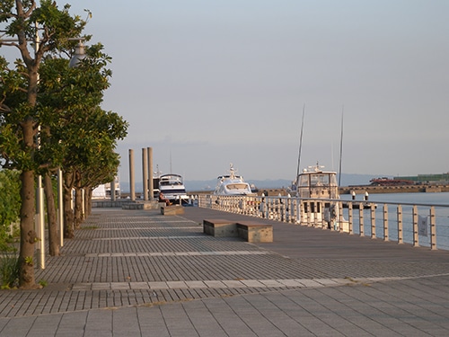 13-sekine-141001.jpg