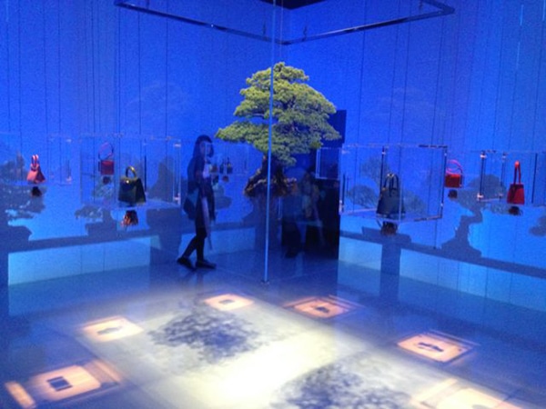 10-aoumi-141205.jpg