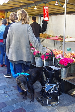c05-parismarche10_harada151020.jpg
